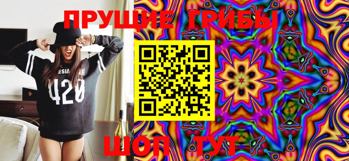 Галлюциногенные грибы Psilocybe Печора