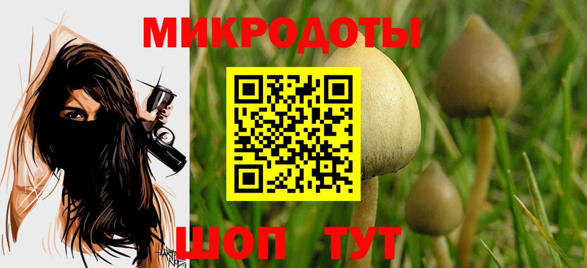 Печора  Галлюциногенные грибы мухоморы  Вход с VPN 